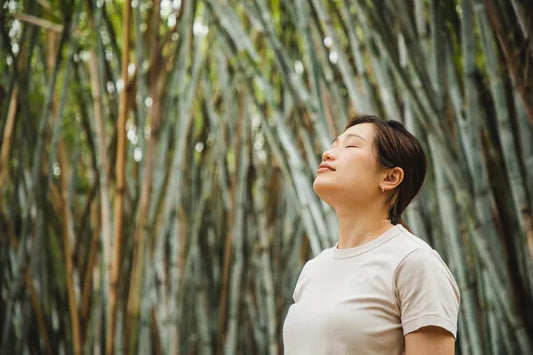 Qigong 101: A Beginner’s Guide to the Art of Cultivating Vital Energy