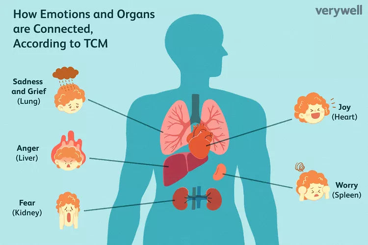 Emotions and Organs Are Connected in Traditional Chinese Medicine