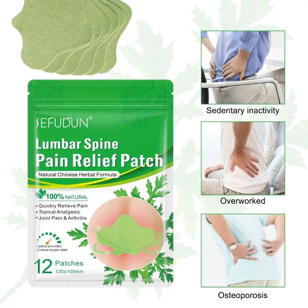 **Pain-Free Living Awaits: 100% Natural Wormwood Patch – Targeted Hot Compress for Cervical, Lumbar, and Knee Discomfort!**